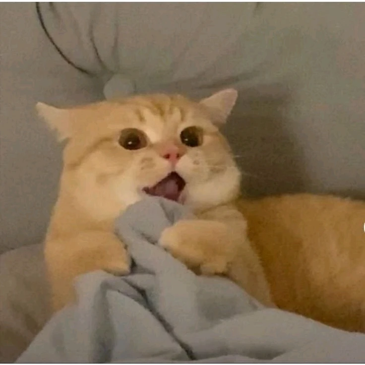 GIF nahrál Vilém
