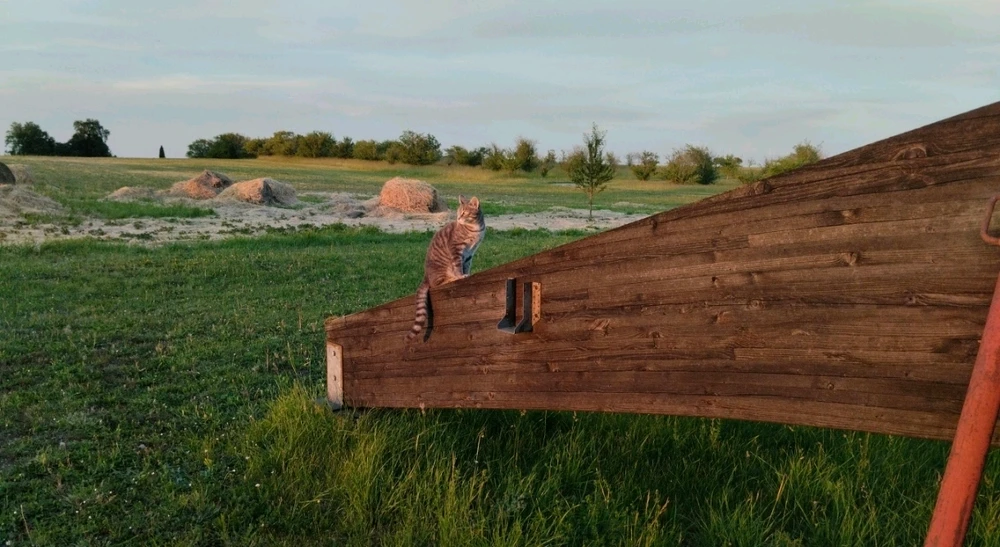 GIF uploaded by Yiyi