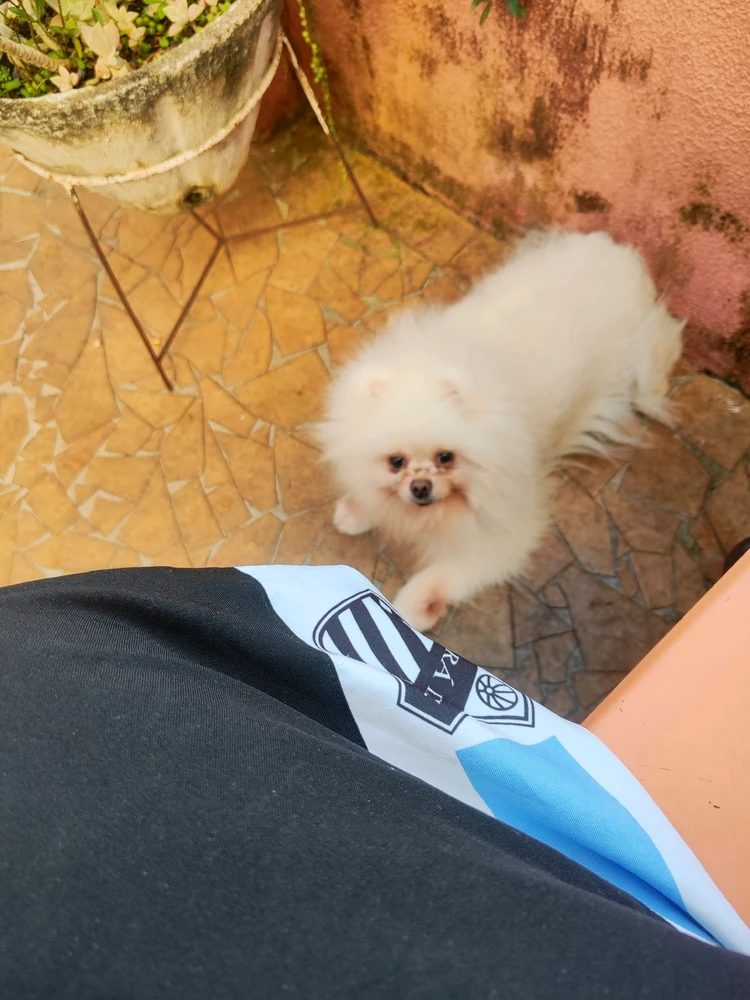 GIF uploaded by Mauricio