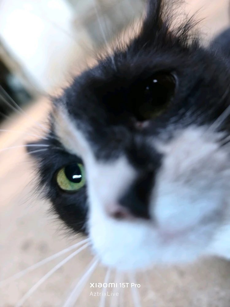 GIF uploaded by Kev