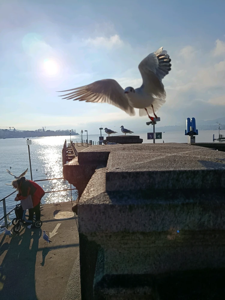 GIF uploaded by M.dkn