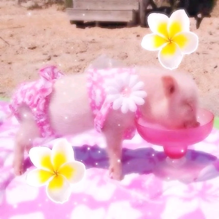 GIF uploaded by Johana