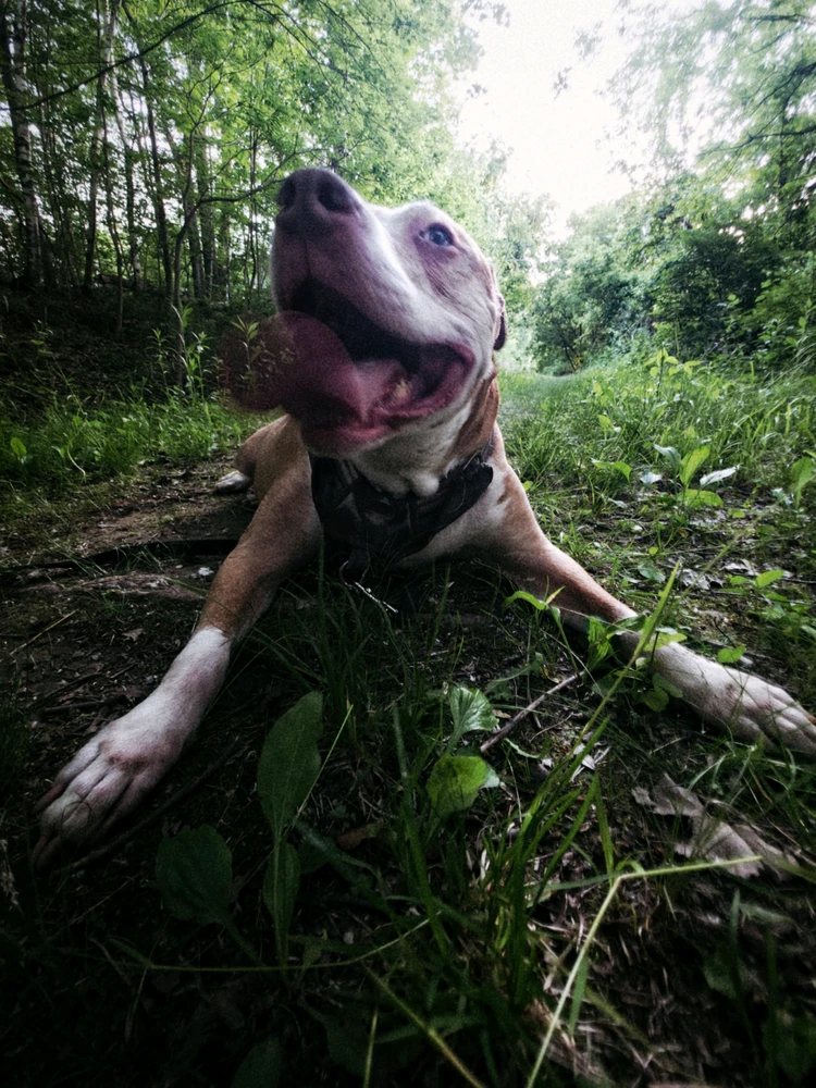 Image uploaded by Bryan