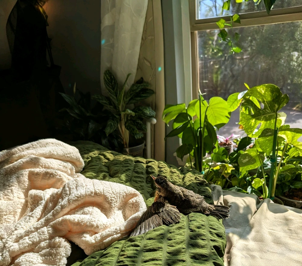 GIF uploaded by Sage