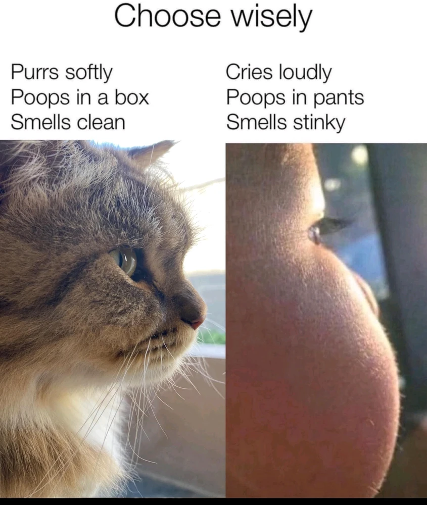 GIF uploaded by Pho Qing Mei Taji 🤣