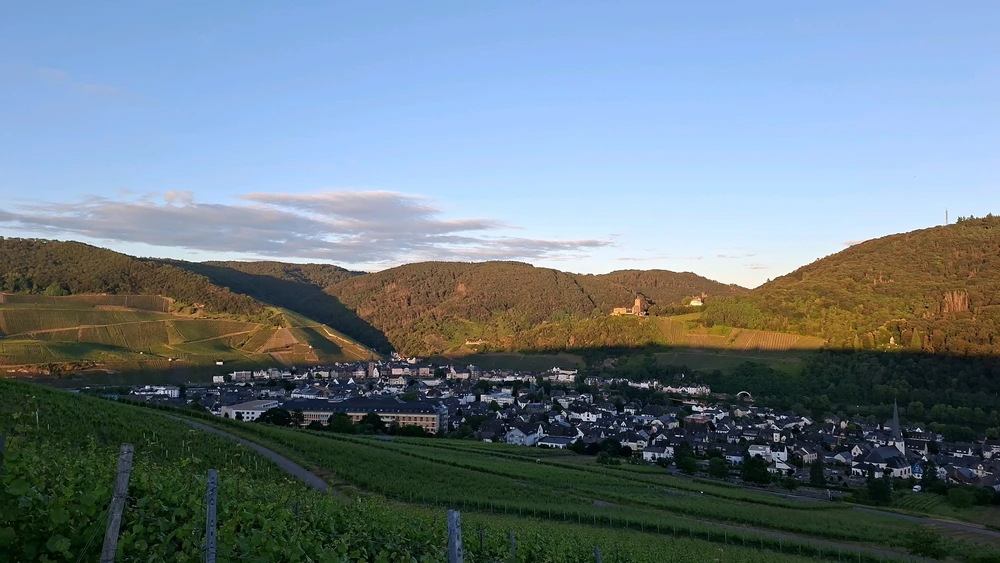 Image uploaded by Charon