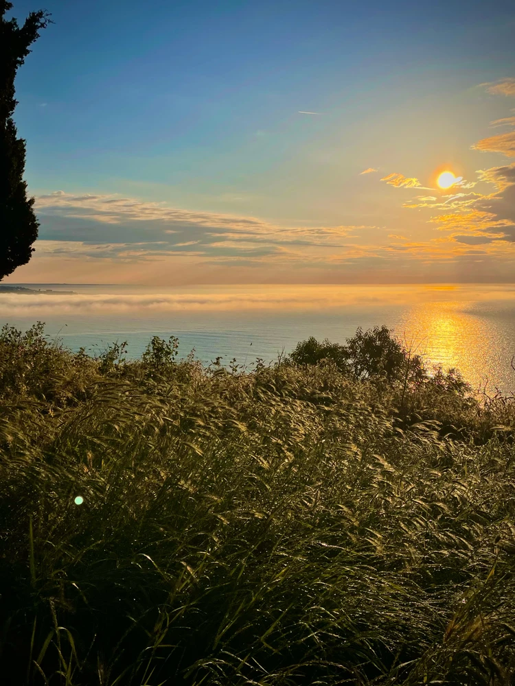 GIF uploaded by Viktor Radev