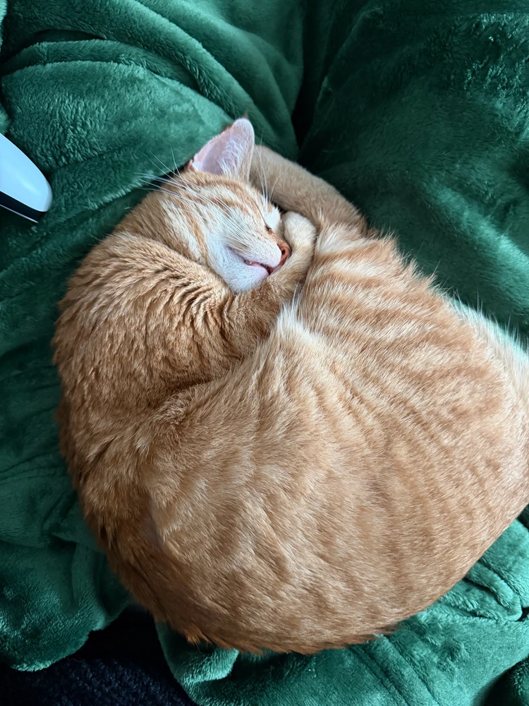 GIF uploaded by Tanner