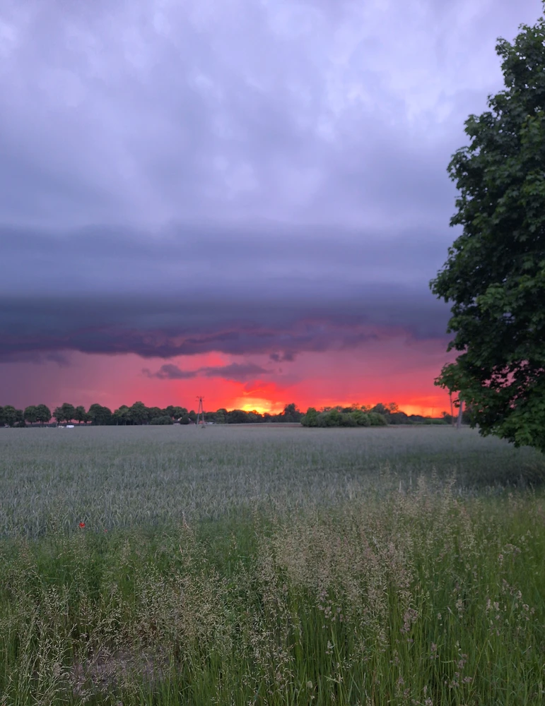 GIF uploaded by Szymon