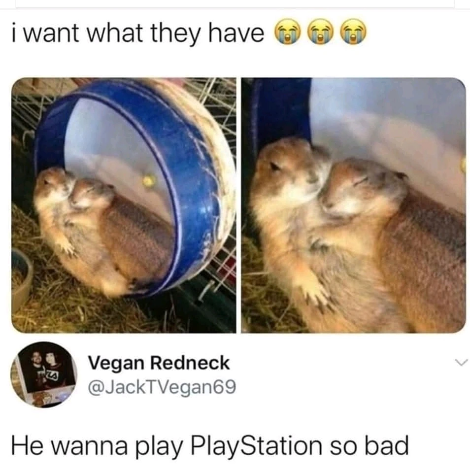 GIF uploaded by GorayaH