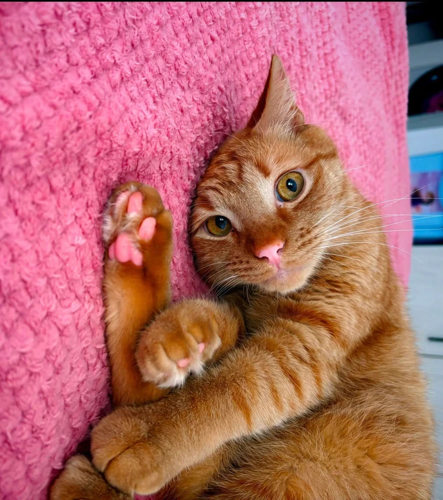 GIF uploaded by Sebastian