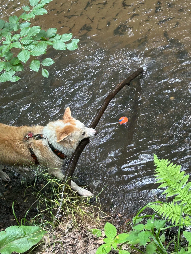GIF hochgeladen von Christopher