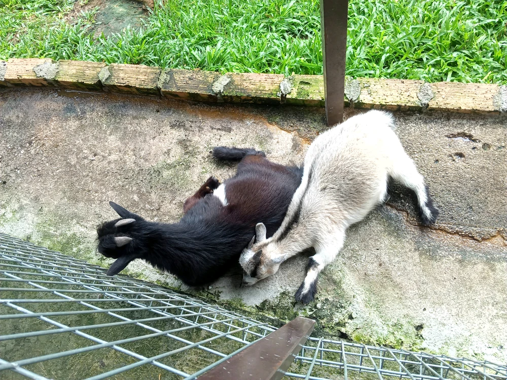 GIF uploaded by Savi
