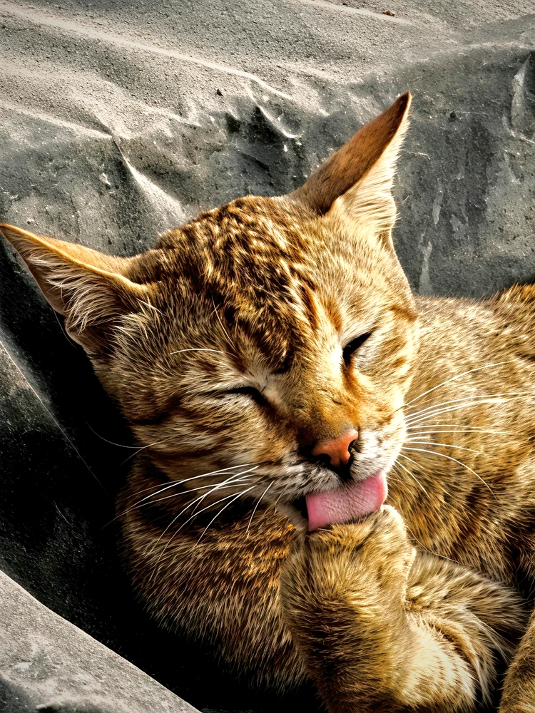 GIF uploaded by Siddharth Chaudhary