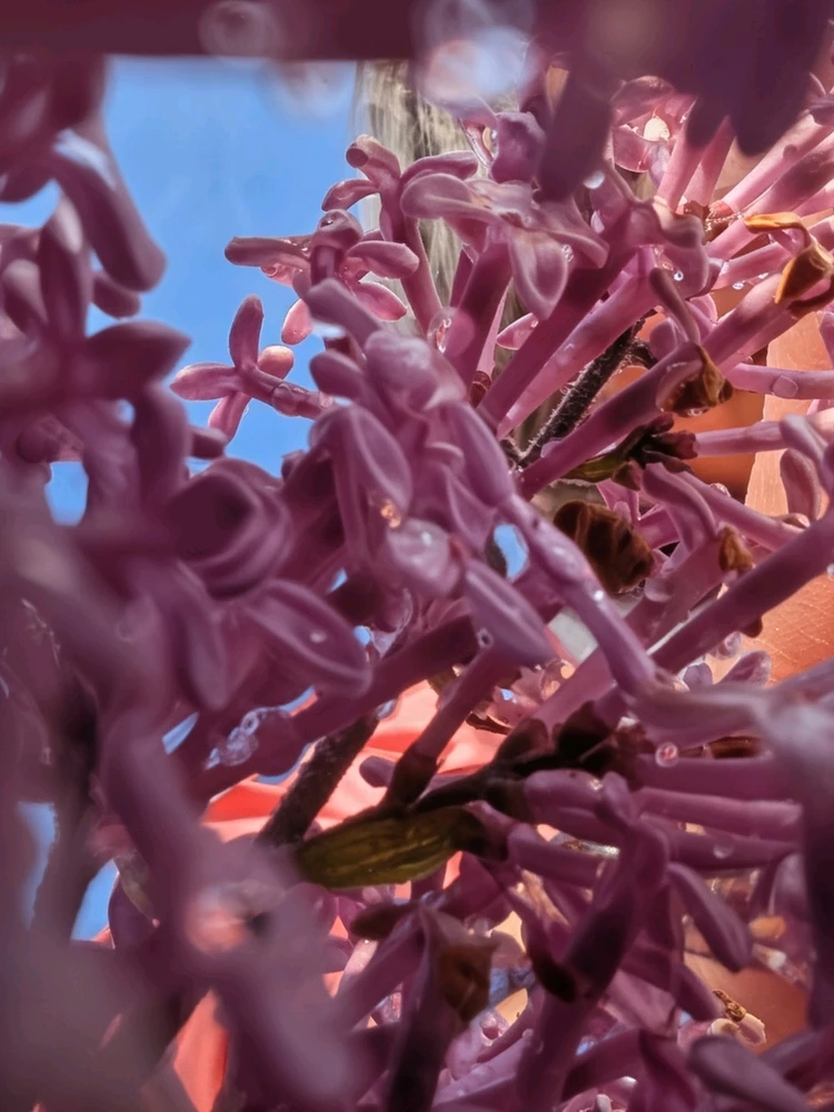 GIF uploaded by FilmsFoodYou