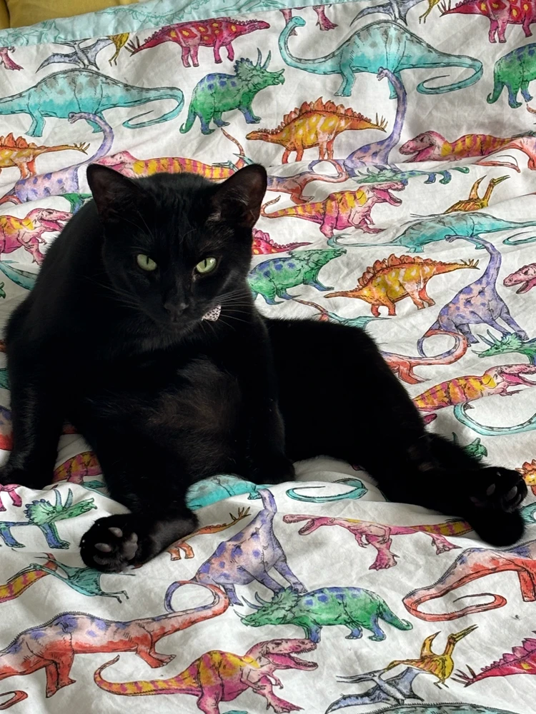 GIF uploaded by Connie