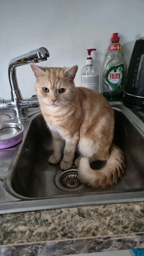 GIF uploaded by GorayaH