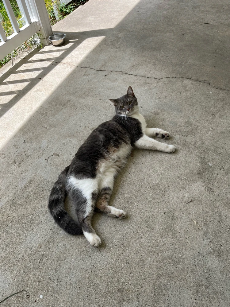 GIF uploaded by Mia