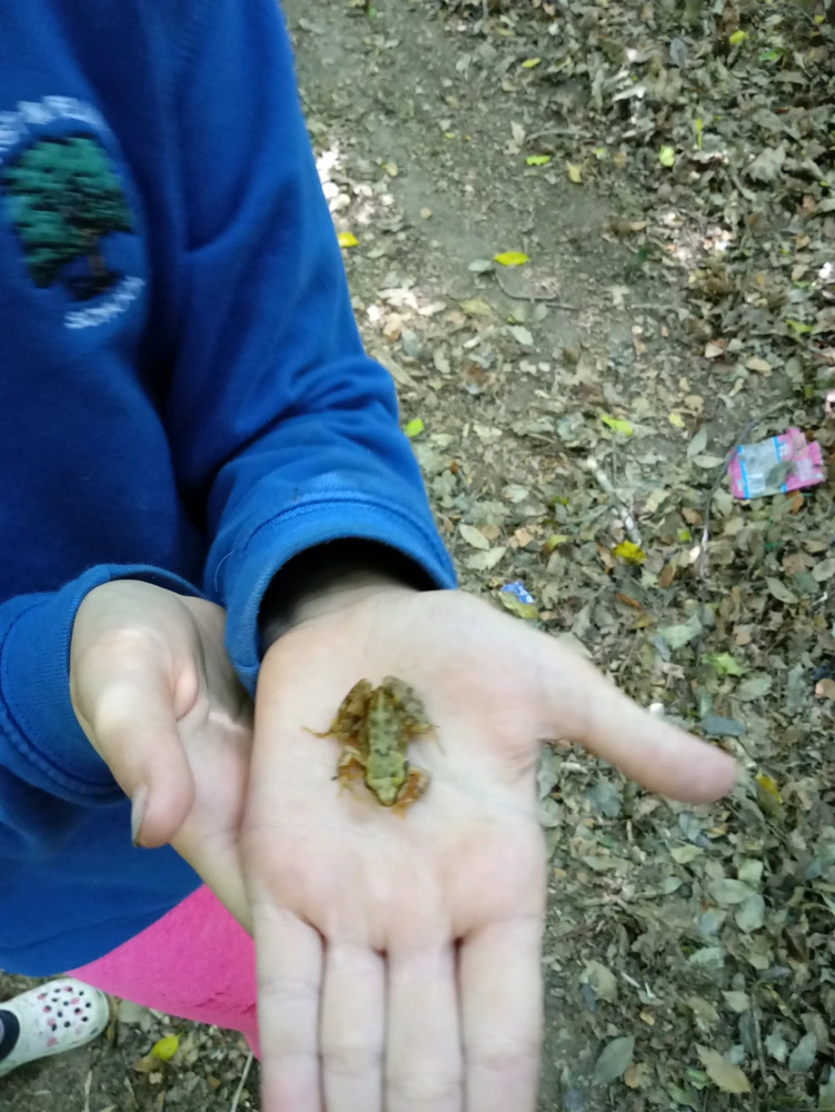 GIF uploaded by Justin