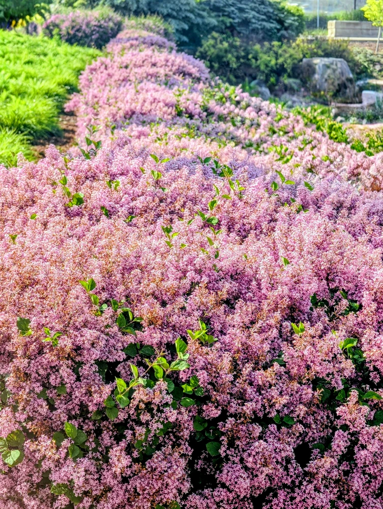 GIF uploaded by FilmsFoodYou