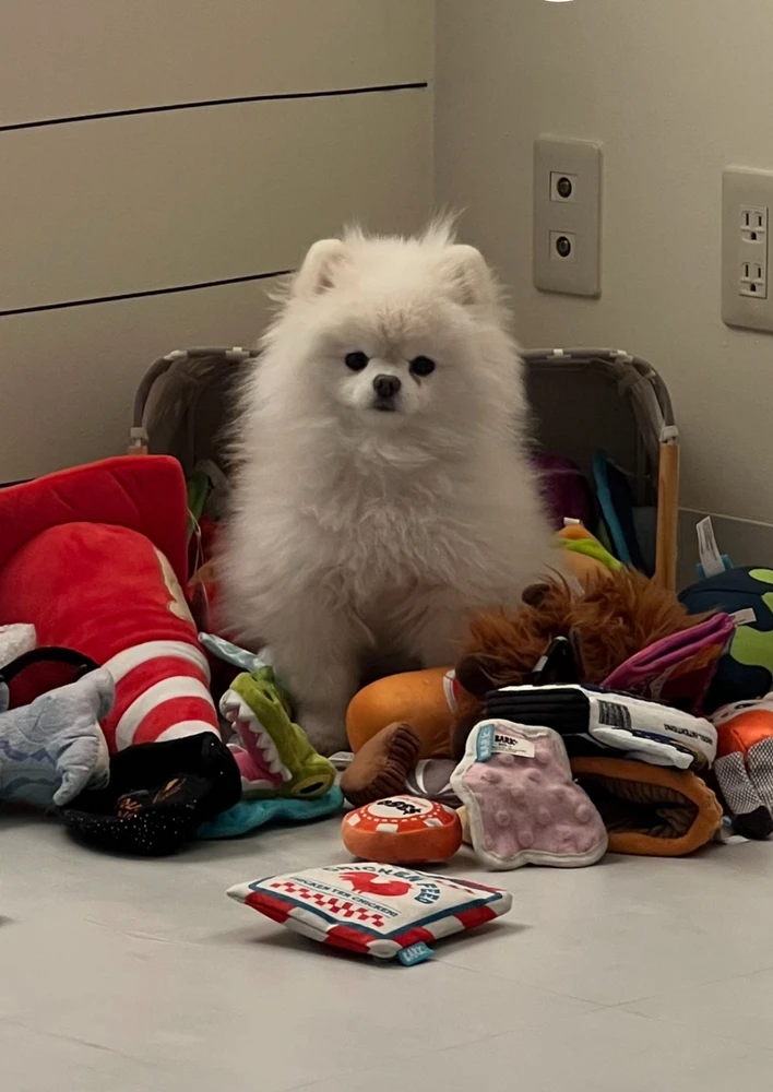 GIF uploaded by Blaeson