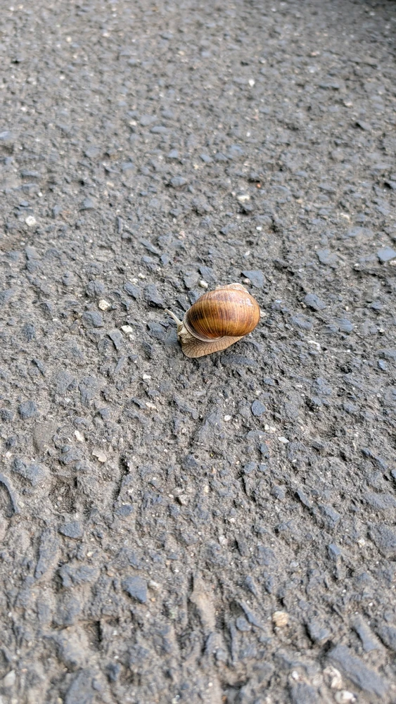 GIF nahrál Helča