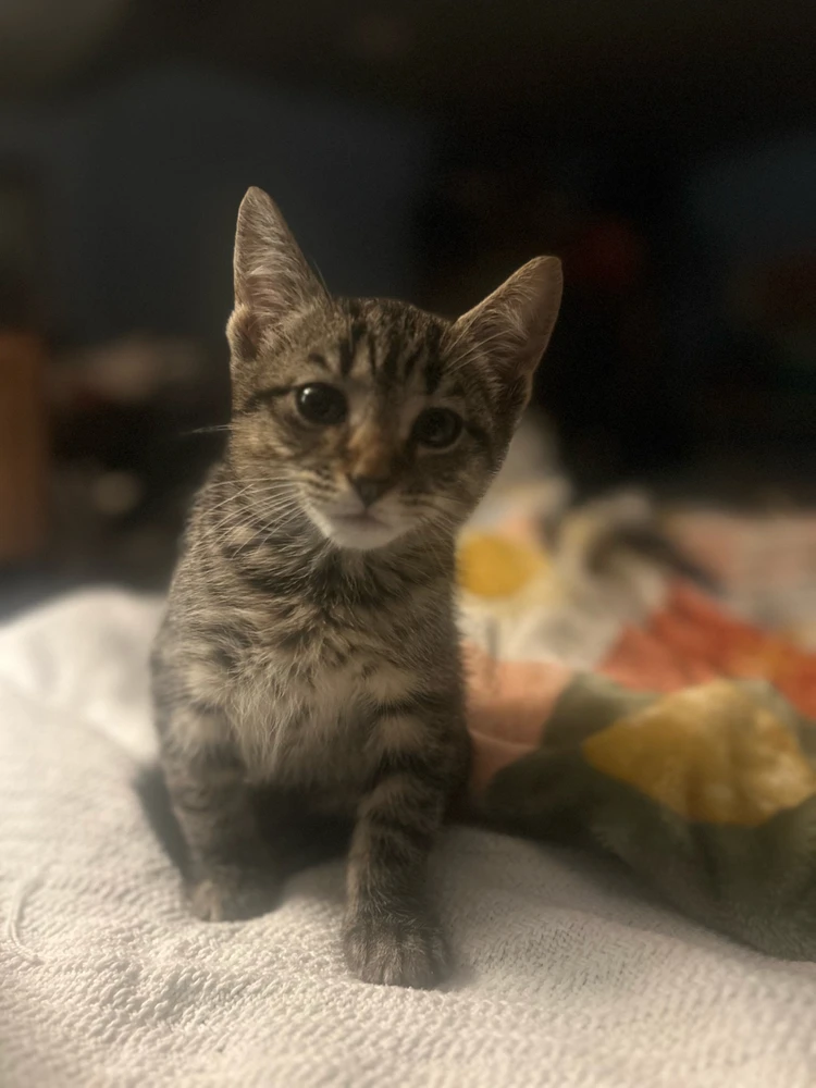 GIF uploaded by Sam