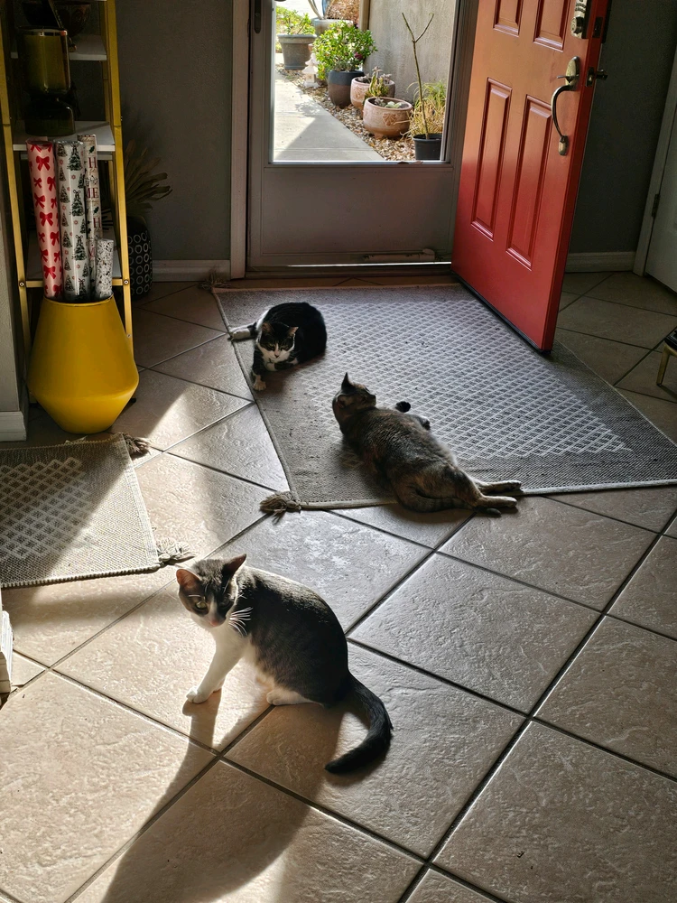 Image uploaded by Chad