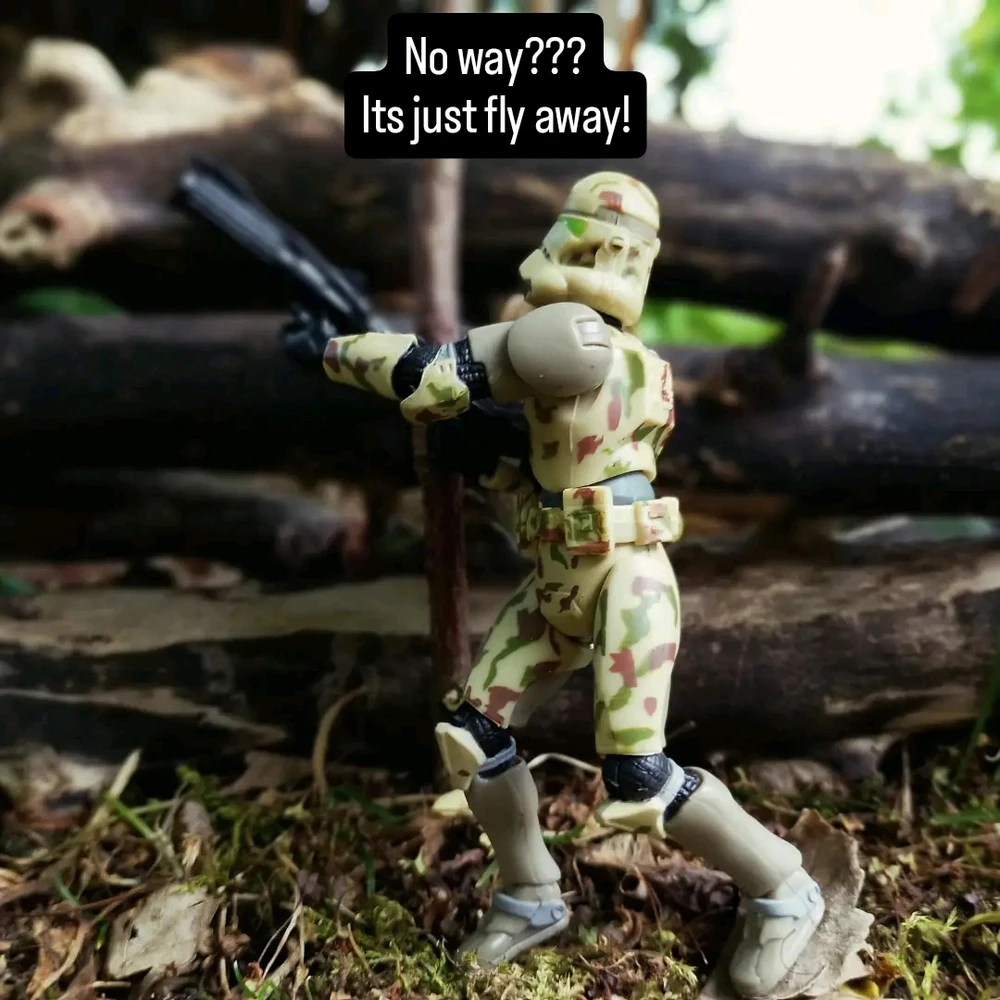 Image uploaded by Florian