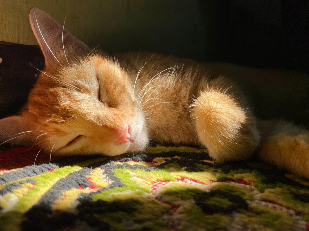 GIF uploaded by Dini