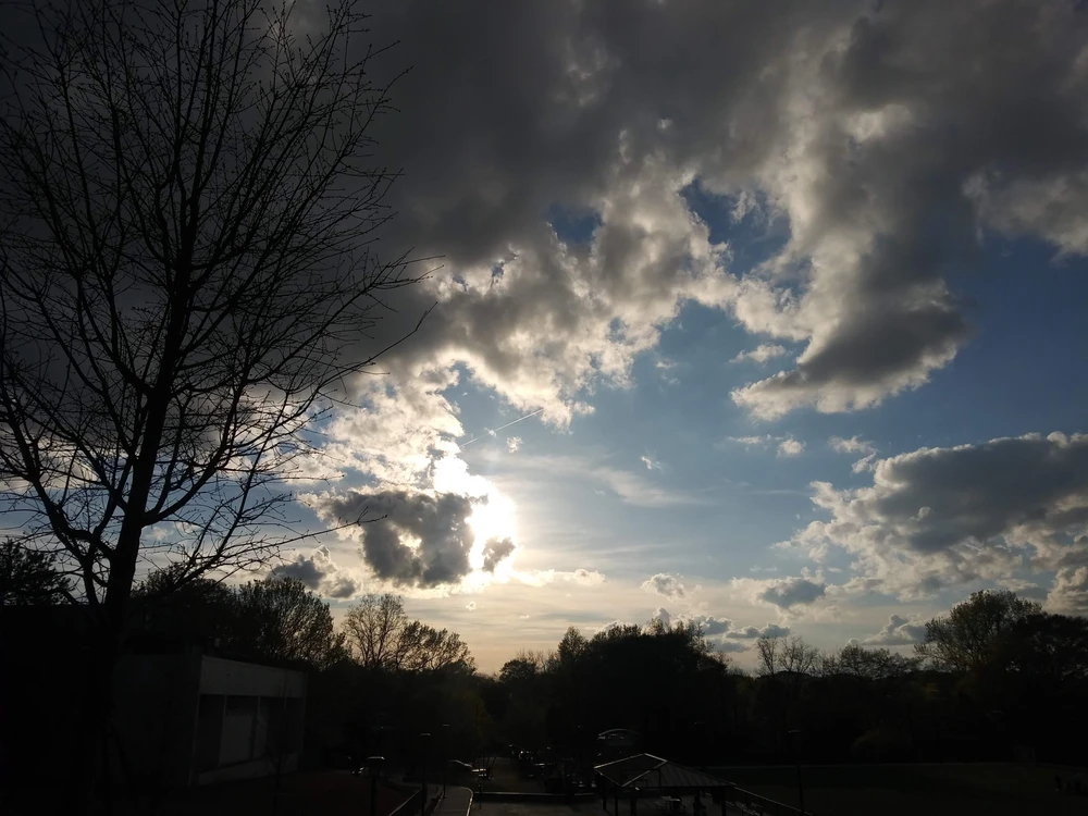 GIF uploaded by Miyani