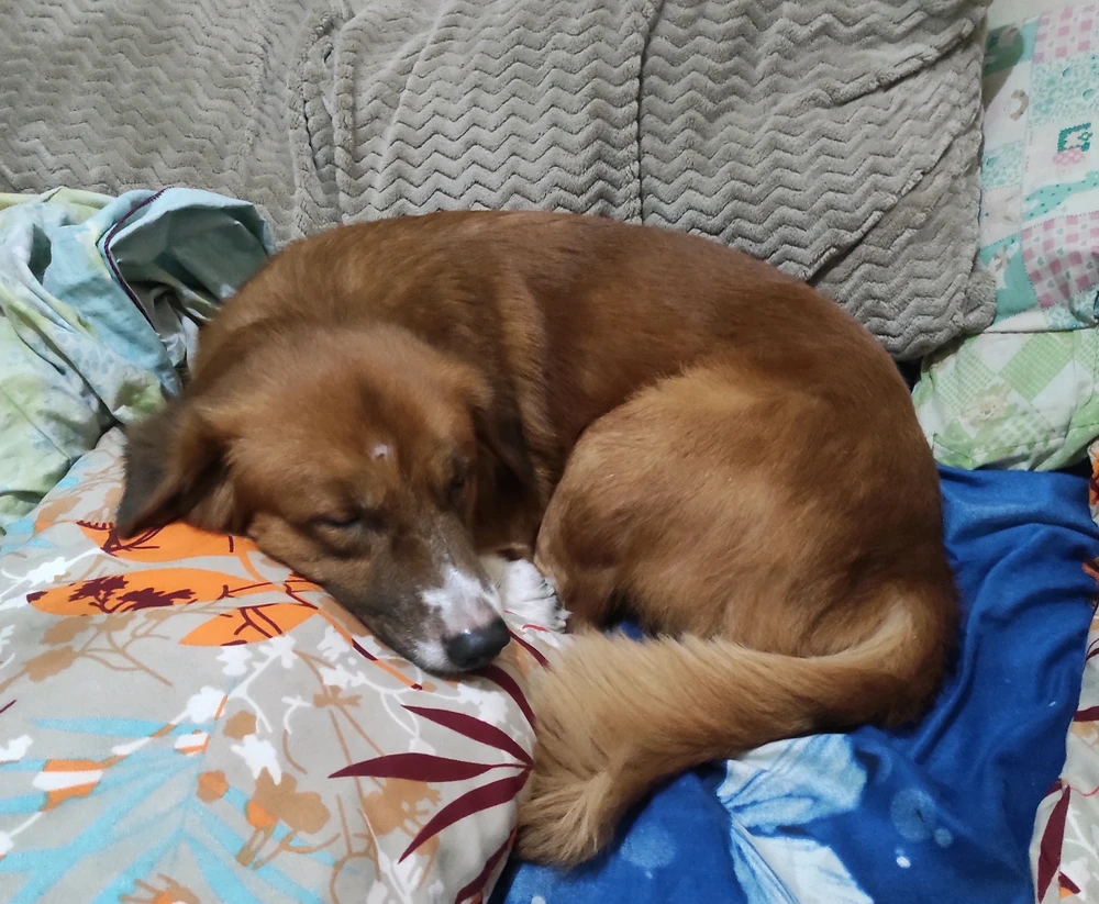 GIF uploaded by Krish