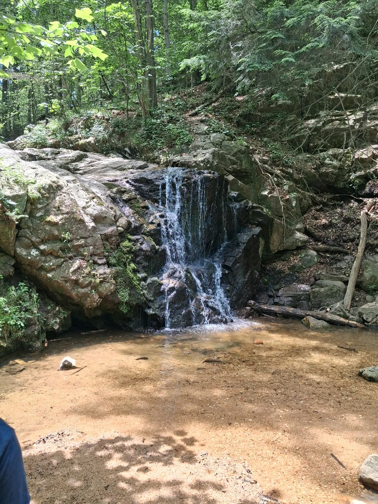 GIF uploaded by Brandon
