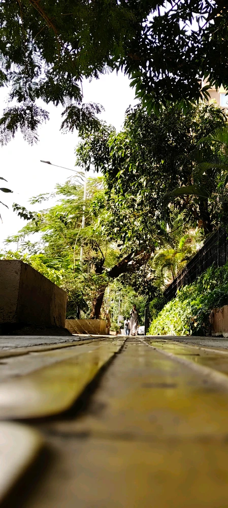 Image uploaded by Ishan
