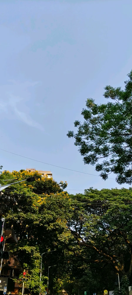 Image uploaded by Ishan