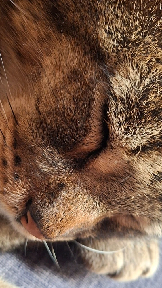 GIF uploaded by MartΓn
