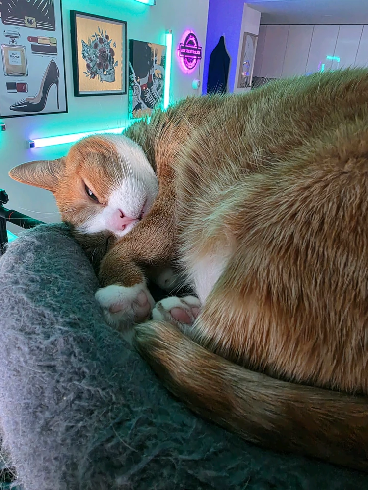 GIF uploaded by Lex