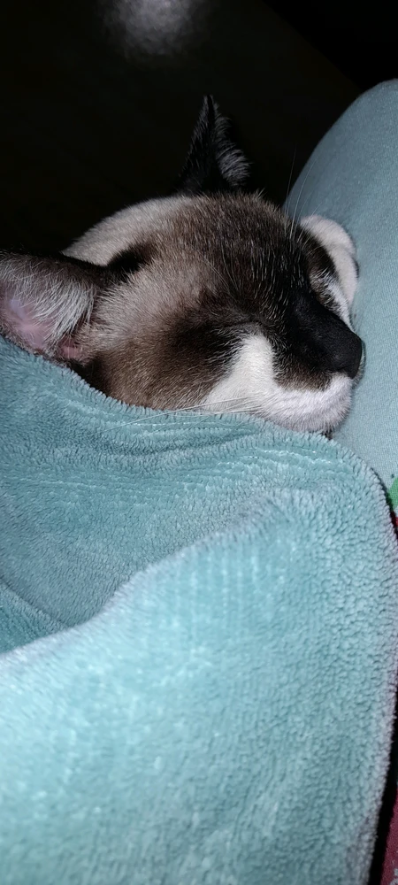 GIF enviado por Débora