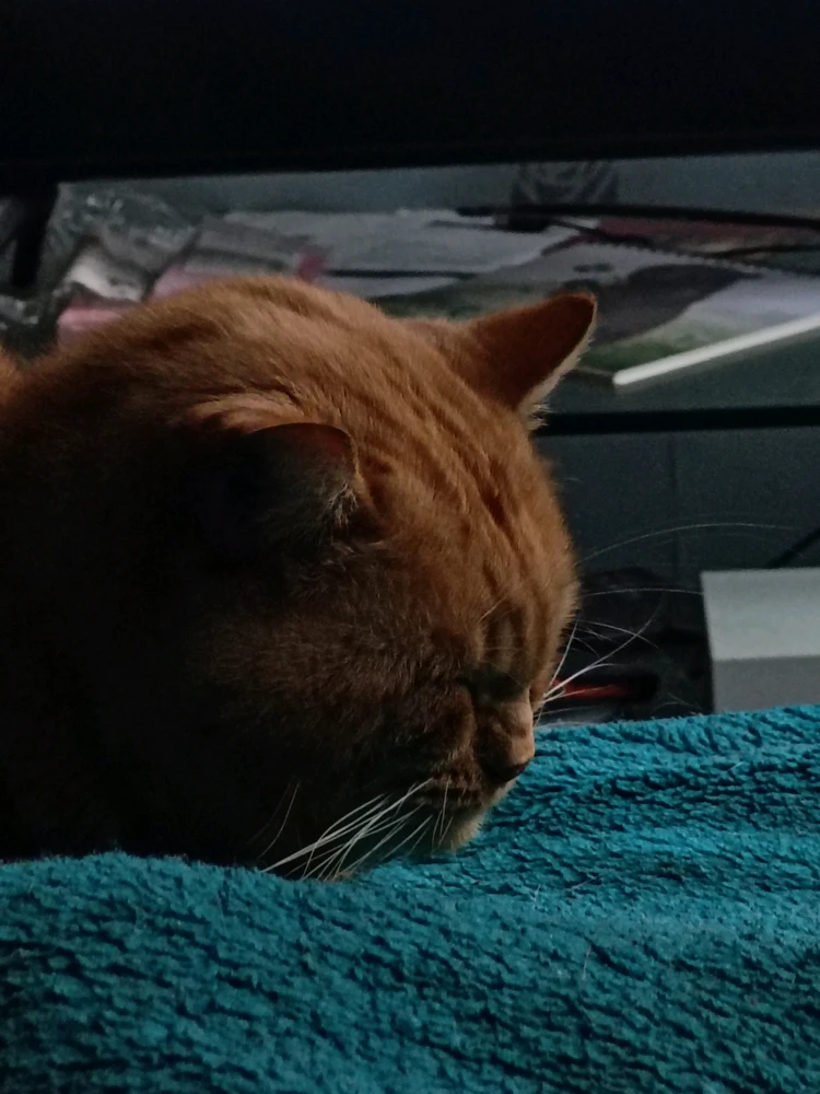 GIF uploaded by Hayley