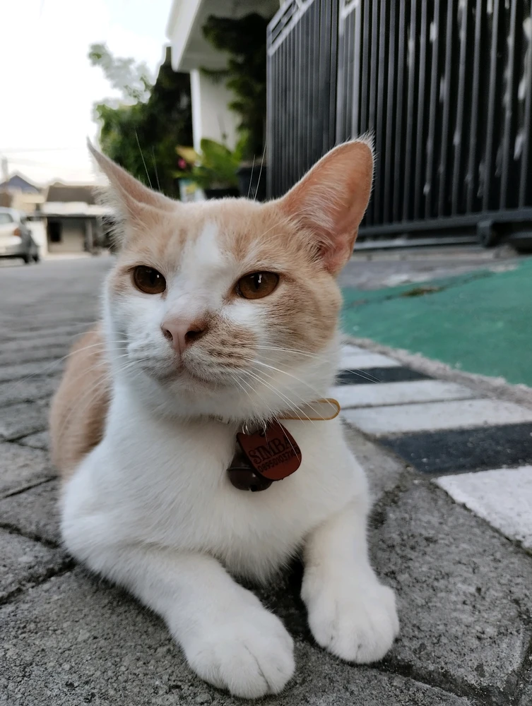 GIF uploaded by Olif