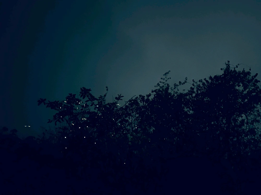 Image uploaded by Rishi