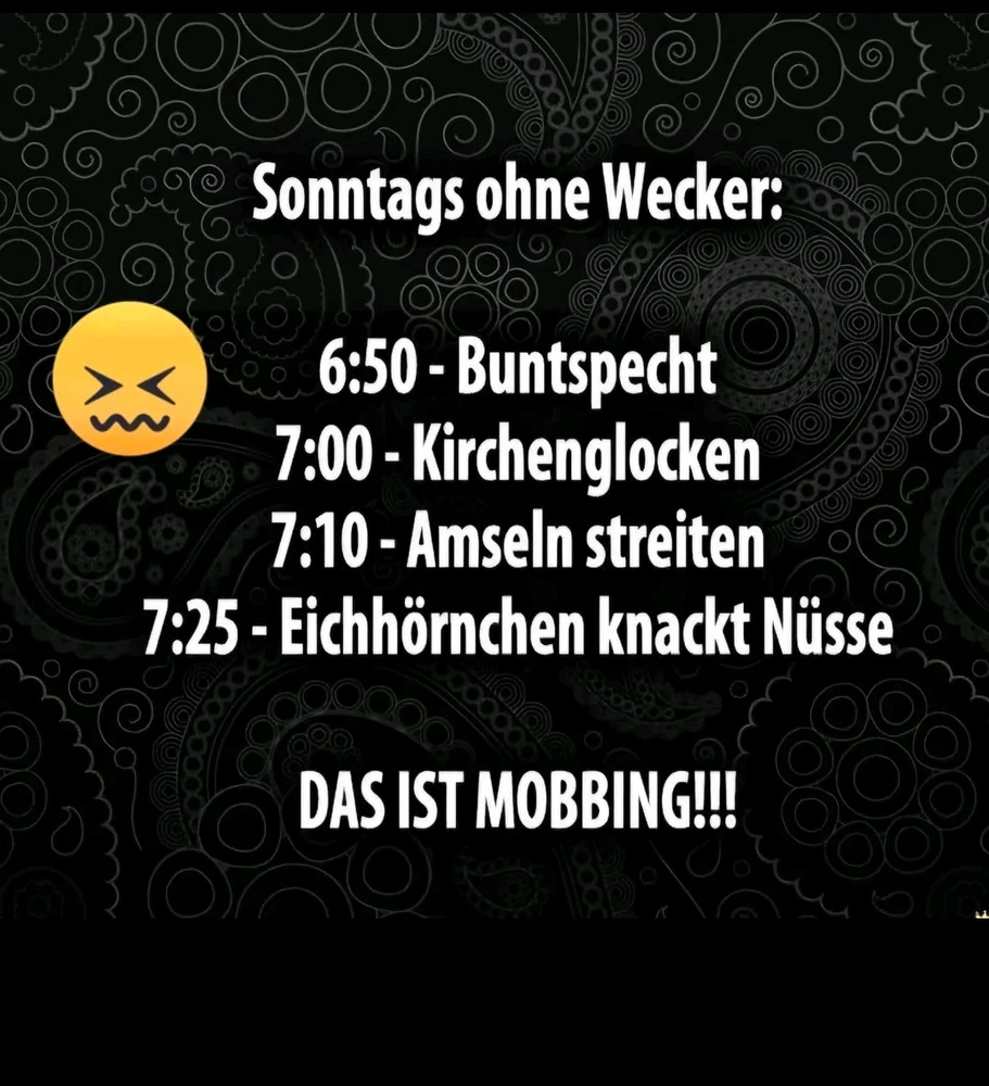 GIF hochgeladen von Sven