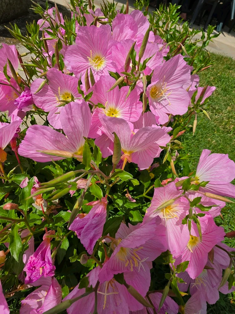Image uploaded by Kas