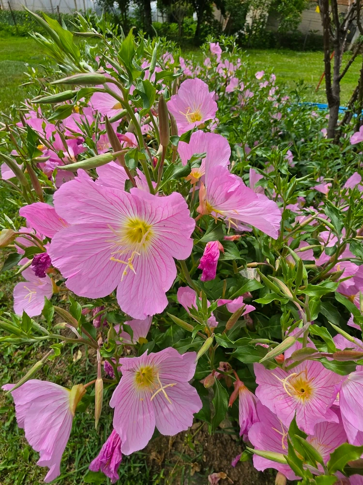 Image uploaded by Kas