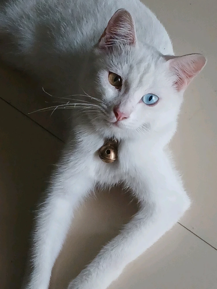 GIF uploaded by Nana