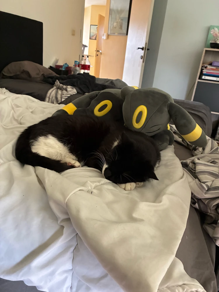 GIF uploaded by Yoran