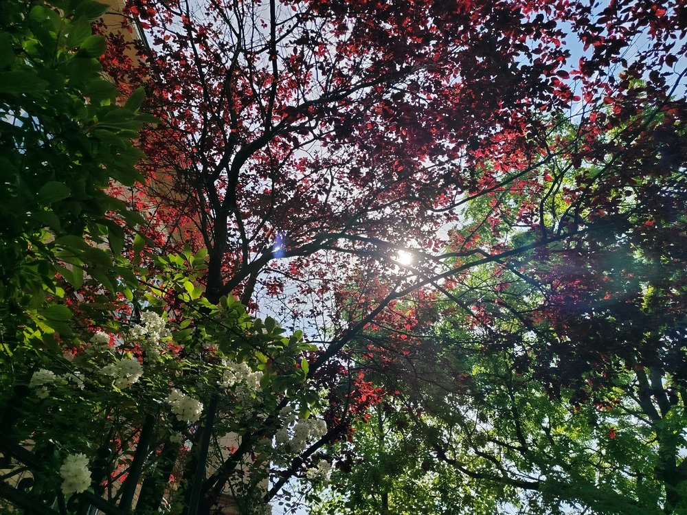 GIF uploaded by Tithi