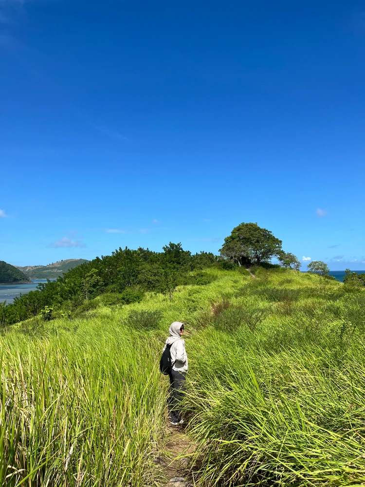 GIF uploaded by Nisaft