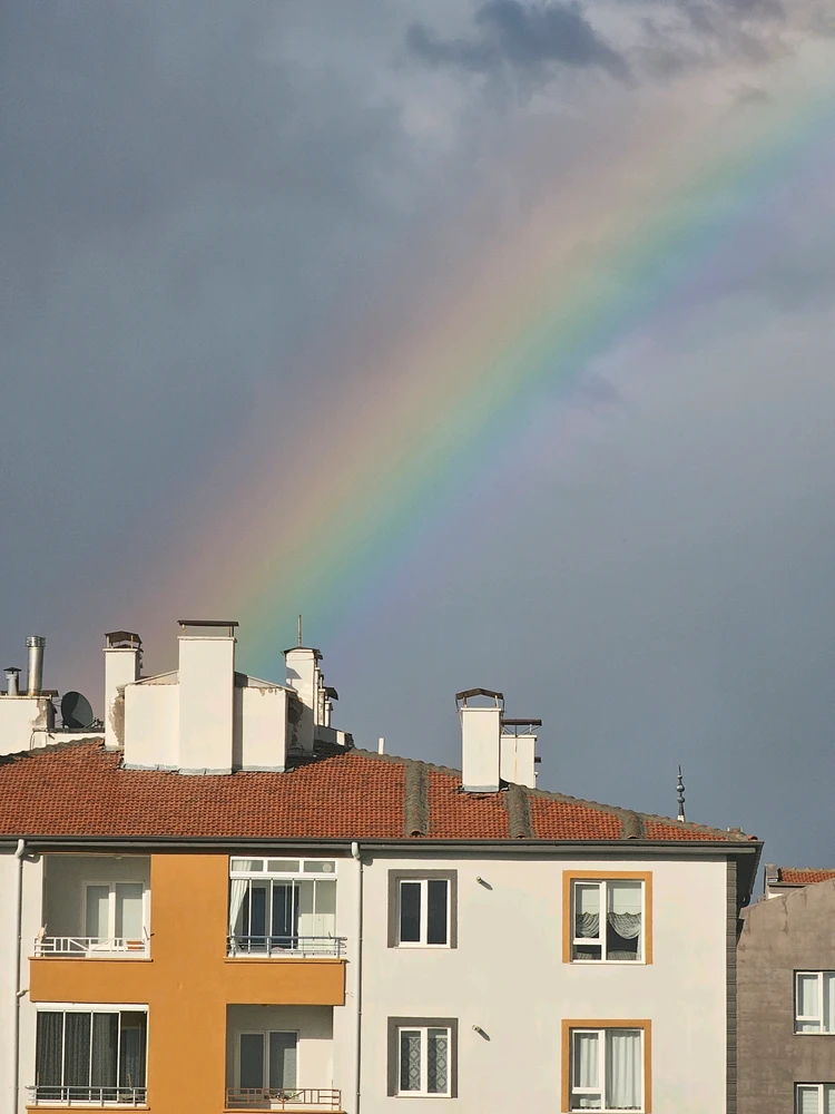 Image uploaded by Murat