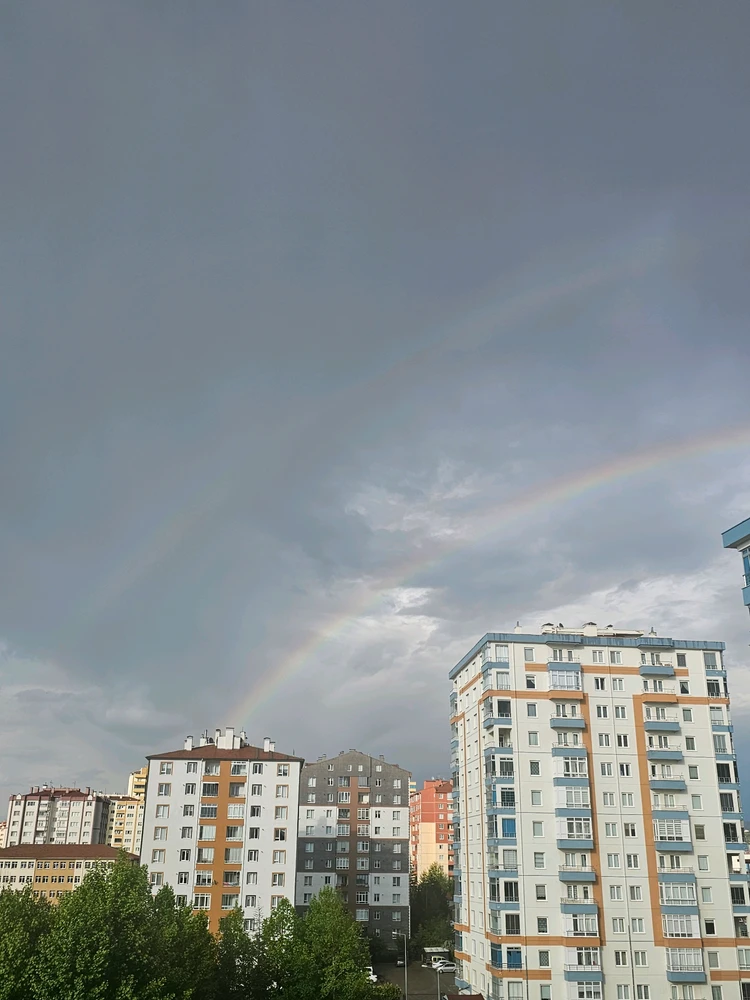 Image uploaded by Murat
